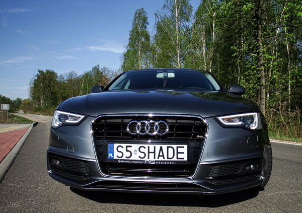 Audi A5 cena 81500 przebieg: 95173, rok produkcji 2016 z Bytom małe 667